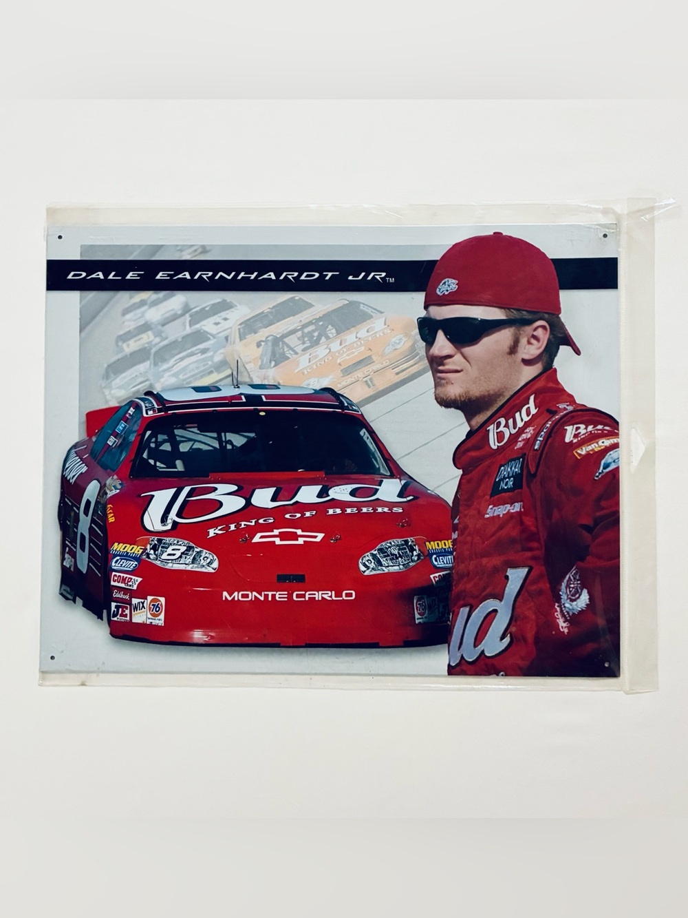 Dale Earnhardt Jr. Racing Red Monte Carlo Wall Art - 12.5x16 Metal Sign